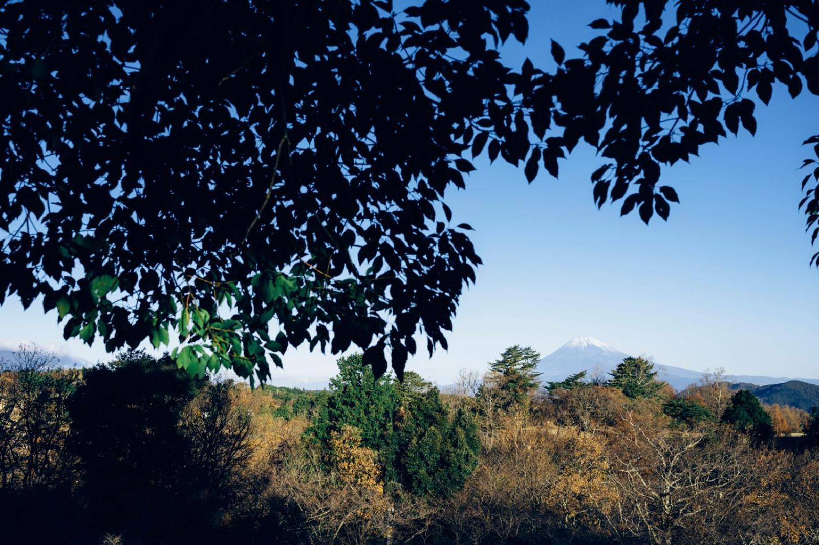 Laforet Shuzenji Sanshisuimei Izu  Luaran gambar