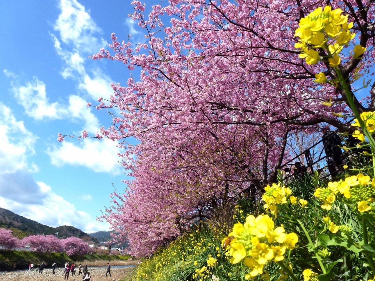 Laforet Shuzenji Sanshisuimei Izu  Luaran gambar